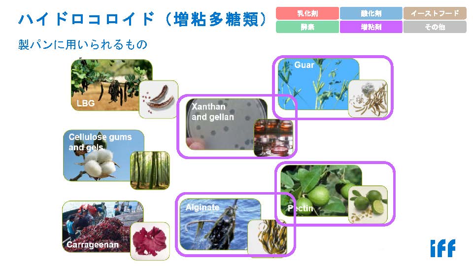 「改良剤って何?改良剤の基礎のキソ」 クラブ・ド・サントノーレオンラインセミナー ダニスコジャパンの斉藤哲子 PART3 Q&A